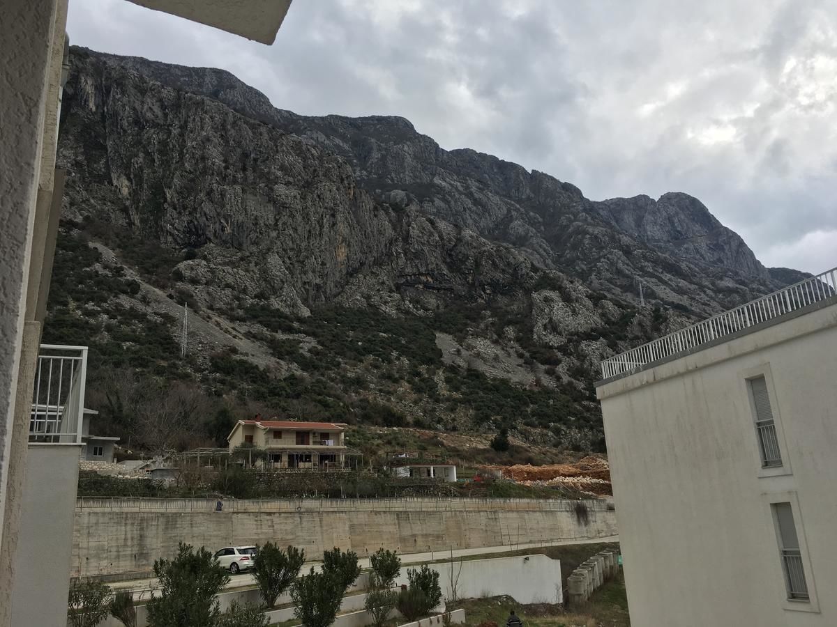 Апартаменты Buena Vista Apartments Котор